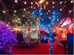 Party marquee with clear roof and internal lighting features
