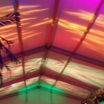 Party Marquee with beach theme and lighting