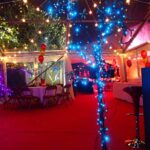 Garden birthday marquee lighting examples - coloured LED uplighters on trees and planters