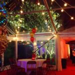 Garden birthday marquee lighting examples - coloured LED uplighters on trees and planters.